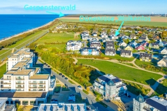 Drohnenfoto auf Dünenrose in Richtung Gespensterwald