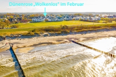 Dünenrose im Februar, Meerblick durch die Villen
